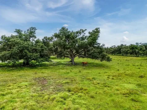 12950 River Road Myakka City FL 34251