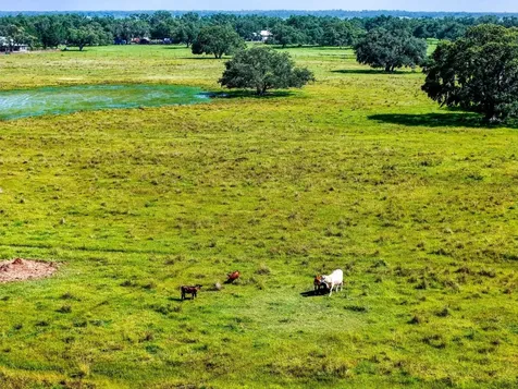 12950 River Road Myakka City FL 34251