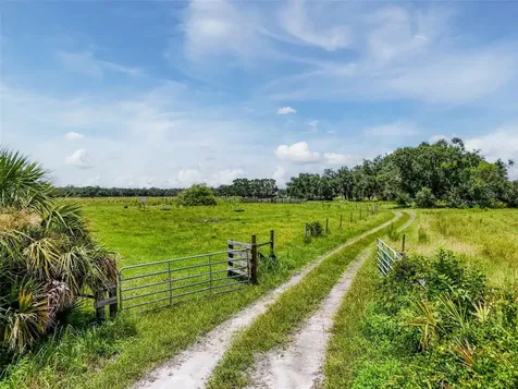 12950 River Road Myakka City FL 34251