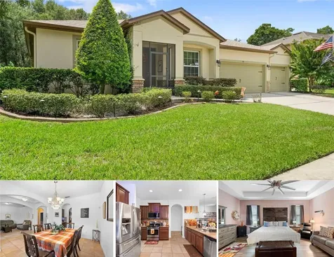 541 Morgan Wood Drive Deland FL 32724