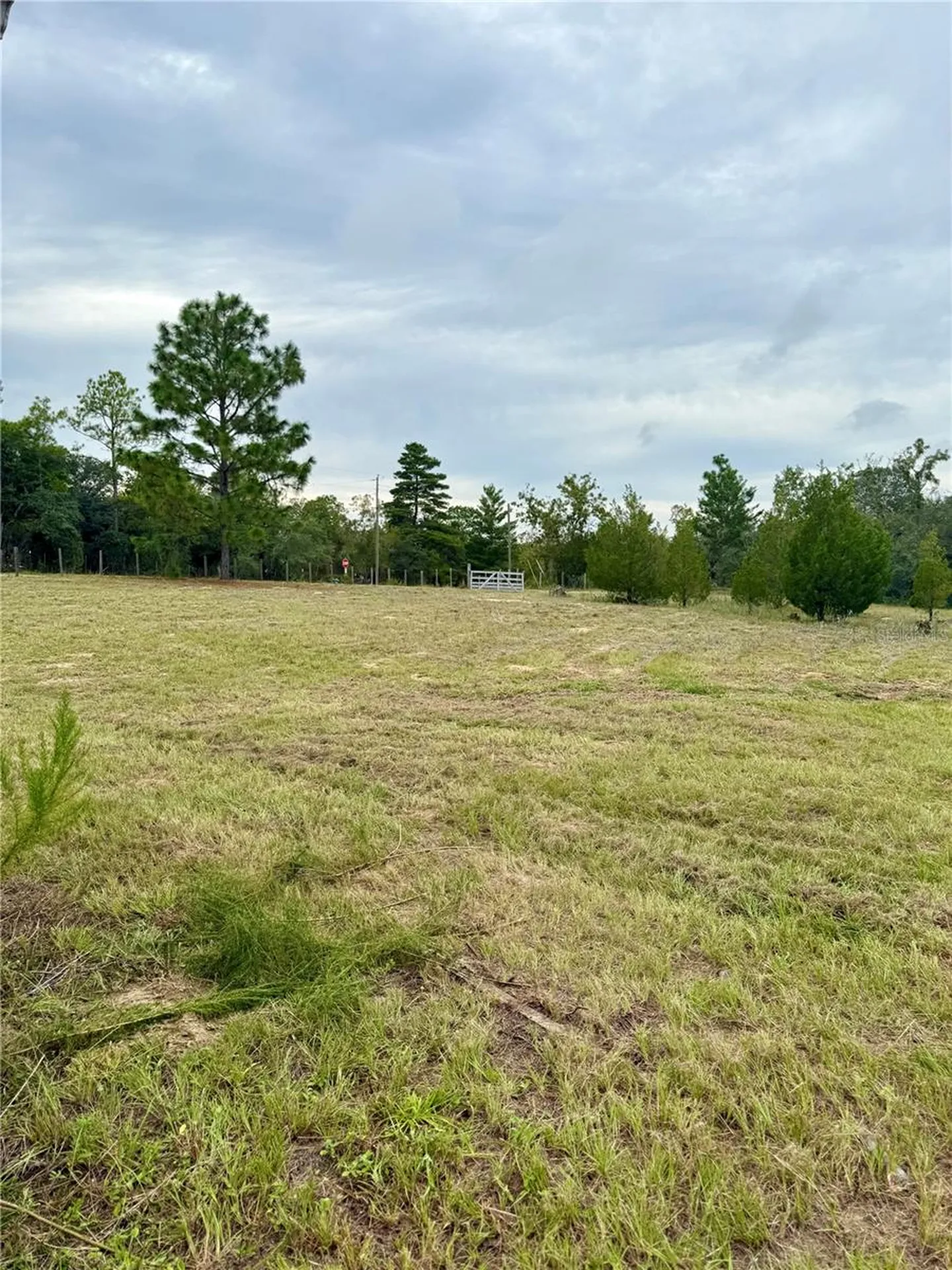 10903 N Farmwood Avenue Dunnellon FL 34433
