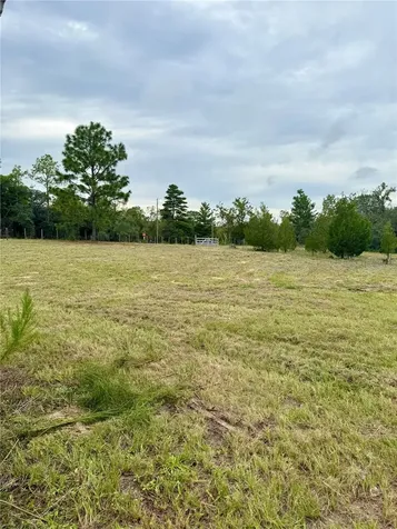 10903 N Farmwood Avenue Dunnellon FL 34433
