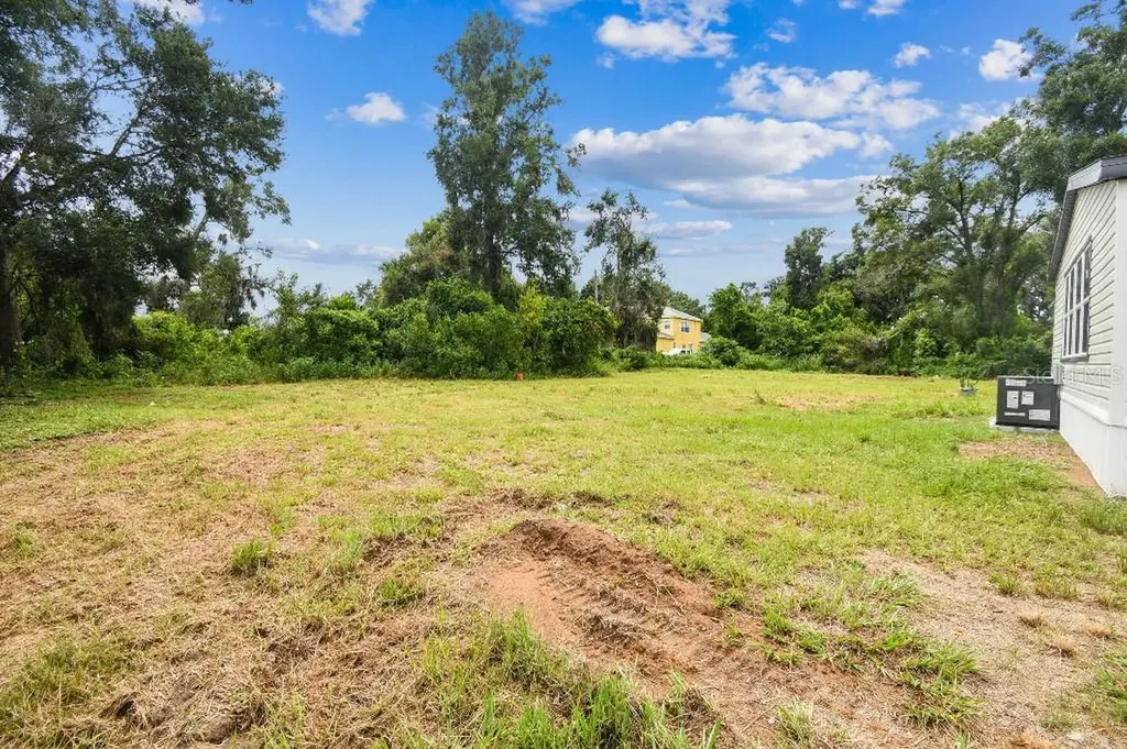 10003 Benjamin Smith Drive Thonotosassa FL 33592