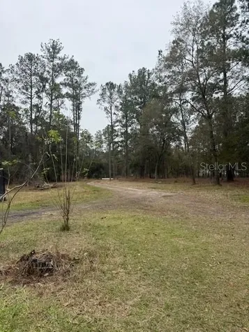 23216 NE 35th Avenue Melrose FL 32666