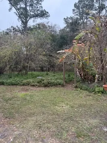 23216 NE 35th Avenue Melrose FL 32666