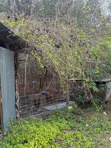 23216 NE 35th Avenue Melrose FL 32666