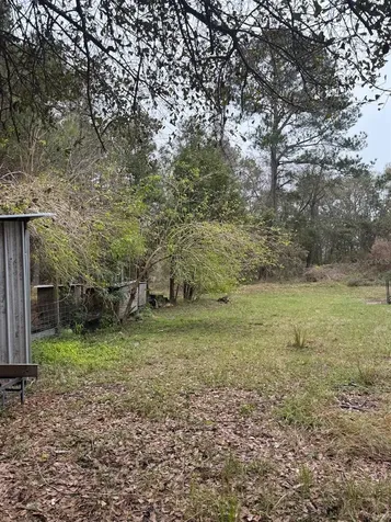 23216 NE 35th Avenue Melrose FL 32666