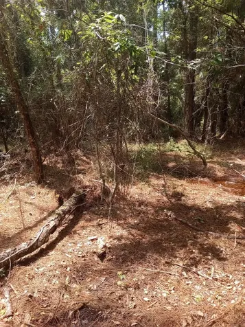 23216 NE 35th Avenue Melrose FL 32666