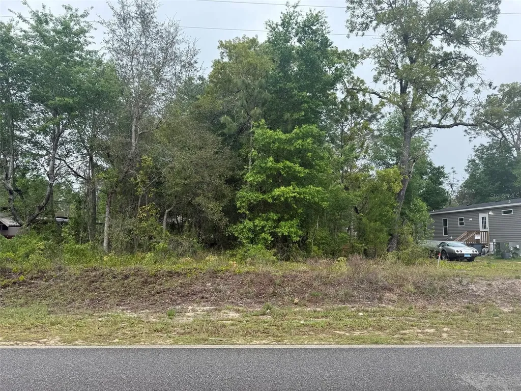 Dawn Avenue Interlachen FL 32148