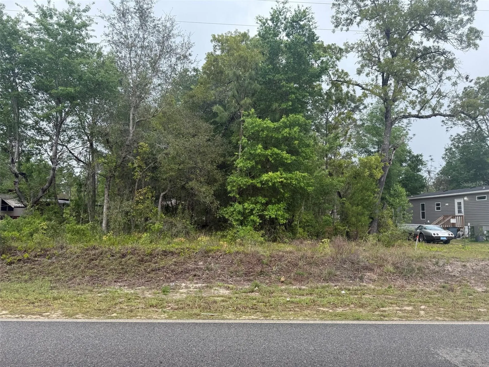 Dawn Avenue Interlachen FL 32148