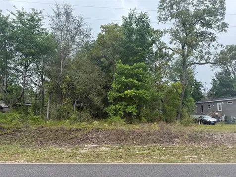 Dawn Avenue Interlachen FL 32148