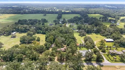 3200 NE 97th Street Road Anthony FL 32617