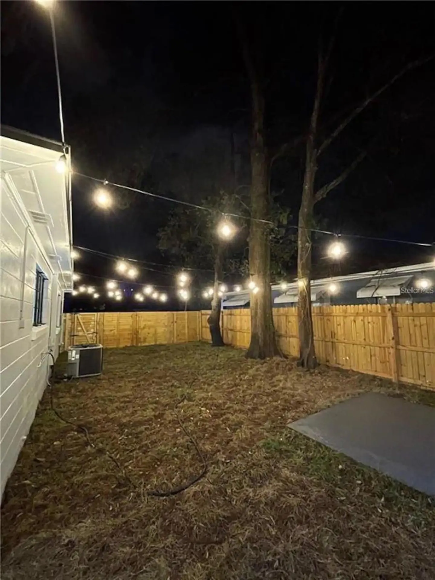 1803 E Frierson Avenue Tampa FL 33610