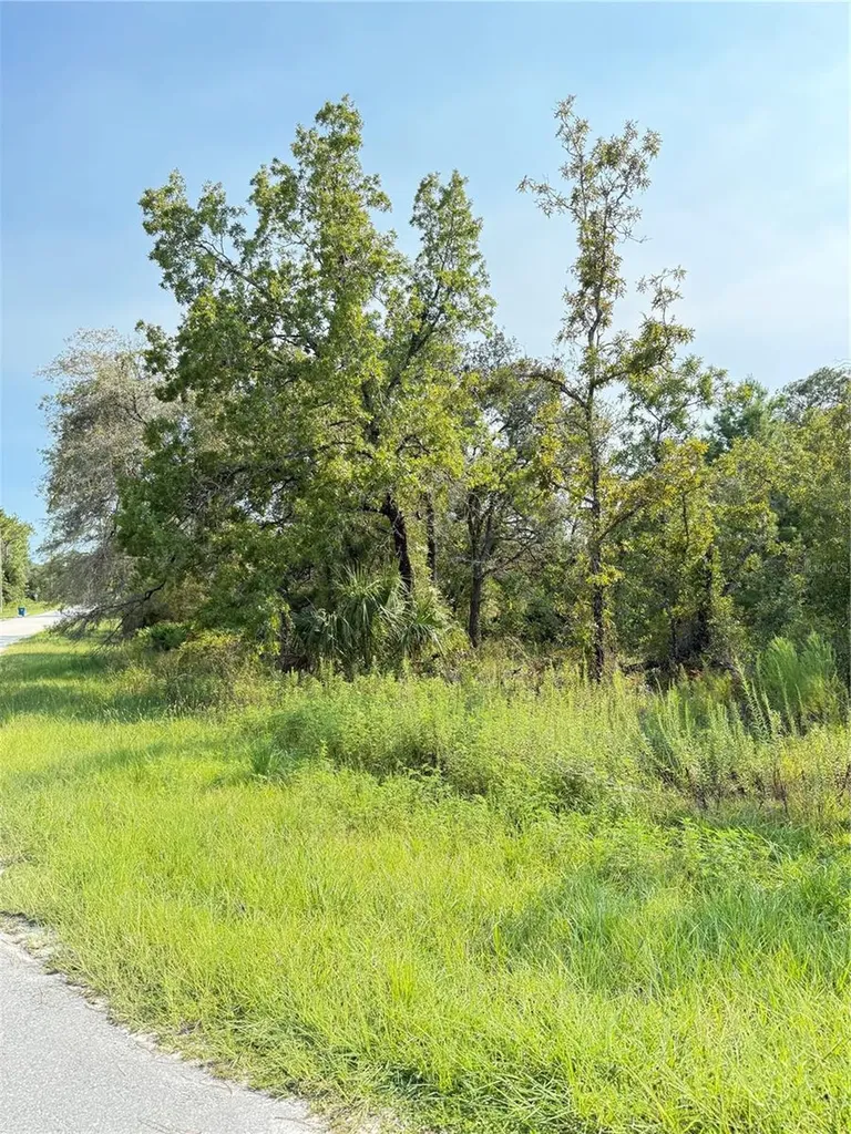 11096 Marsh Wren Avenue Weeki Wachee FL 34614
