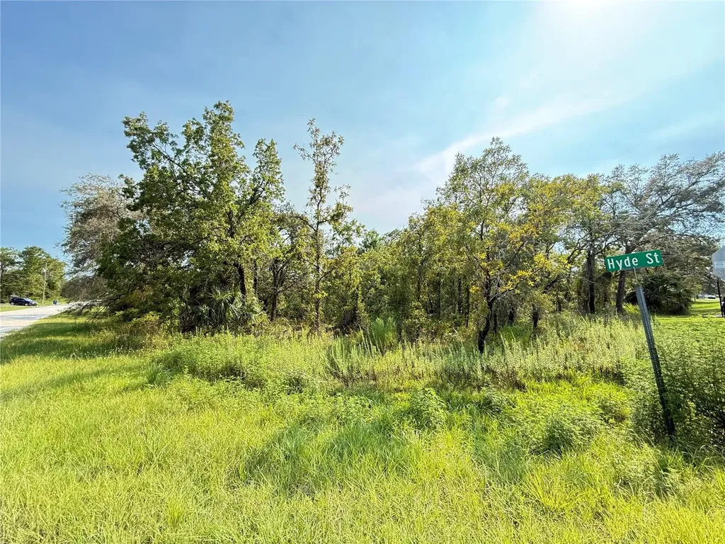 11096 Marsh Wren Avenue Weeki Wachee FL 34614