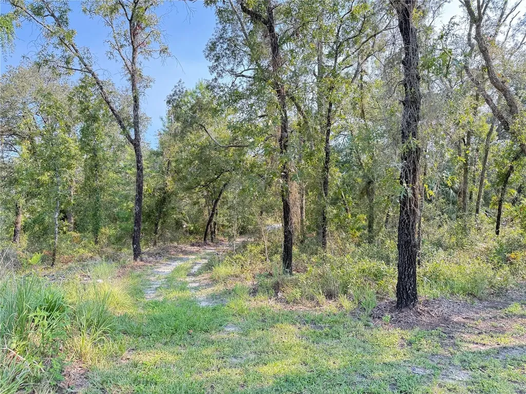 11096 Marsh Wren Avenue Weeki Wachee FL 34614
