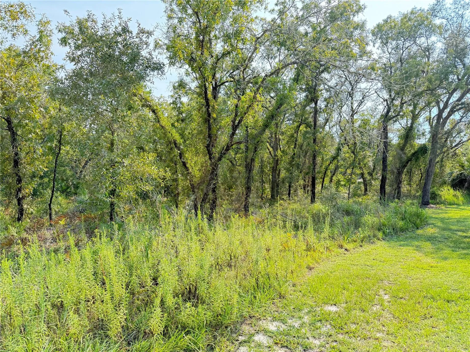 11096 Marsh Wren Avenue Weeki Wachee FL 34614