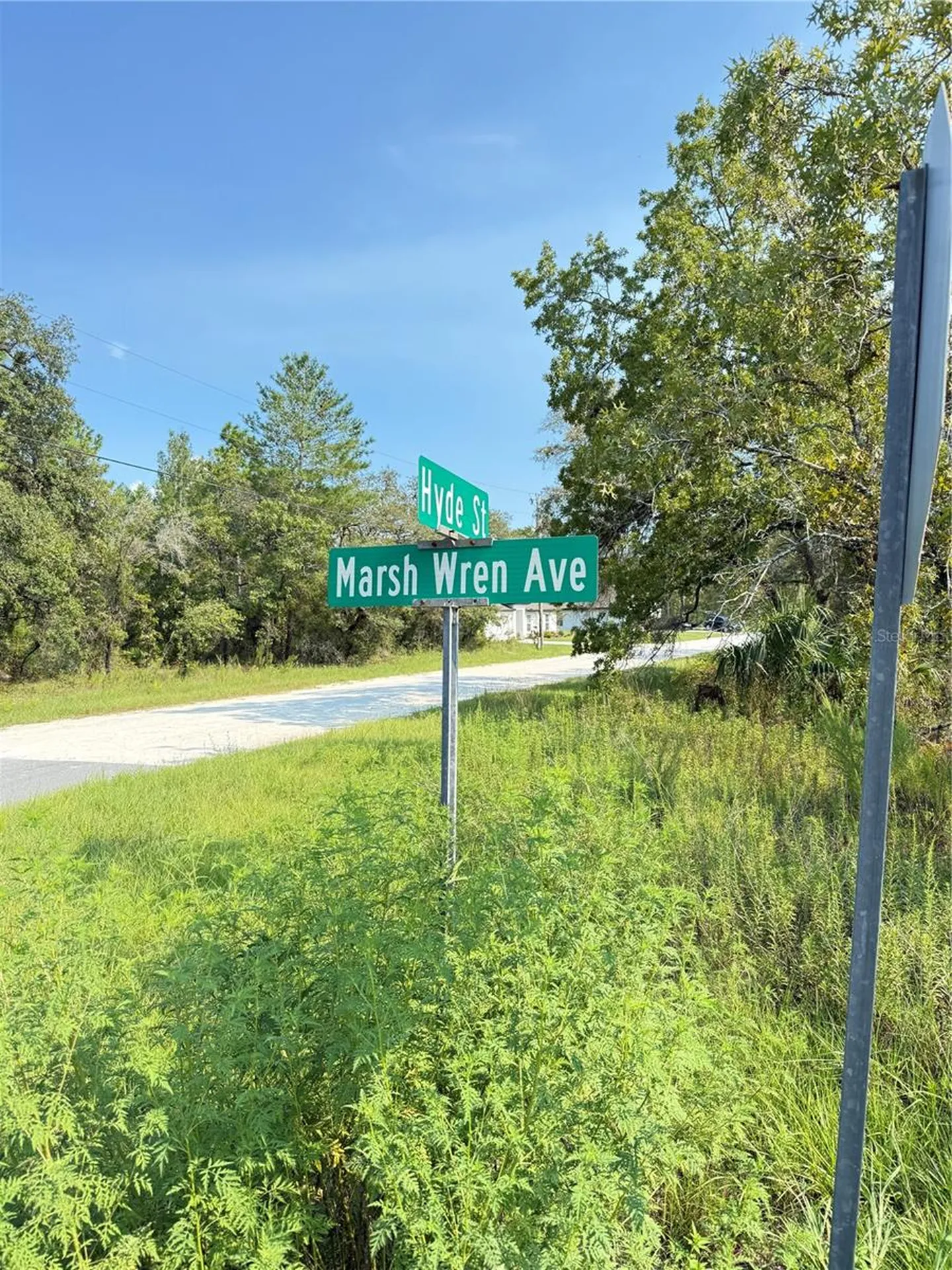 11096 Marsh Wren Avenue Weeki Wachee FL 34614