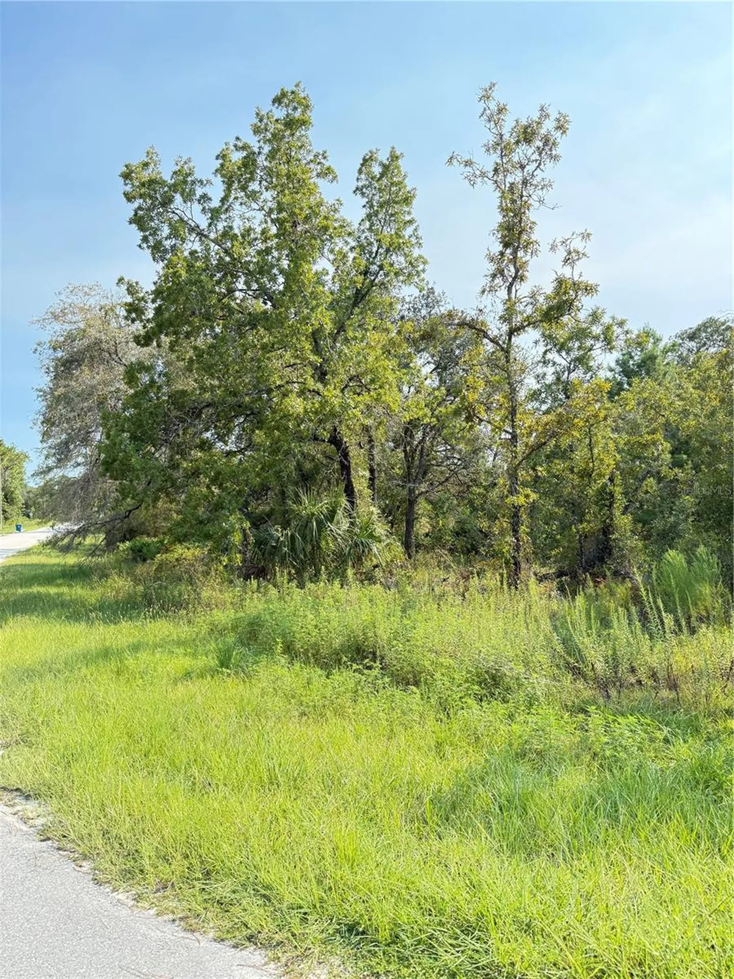 11096 Marsh Wren Avenue Weeki Wachee FL 34614