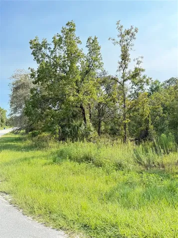 11096 Marsh Wren Avenue Weeki Wachee FL 34614