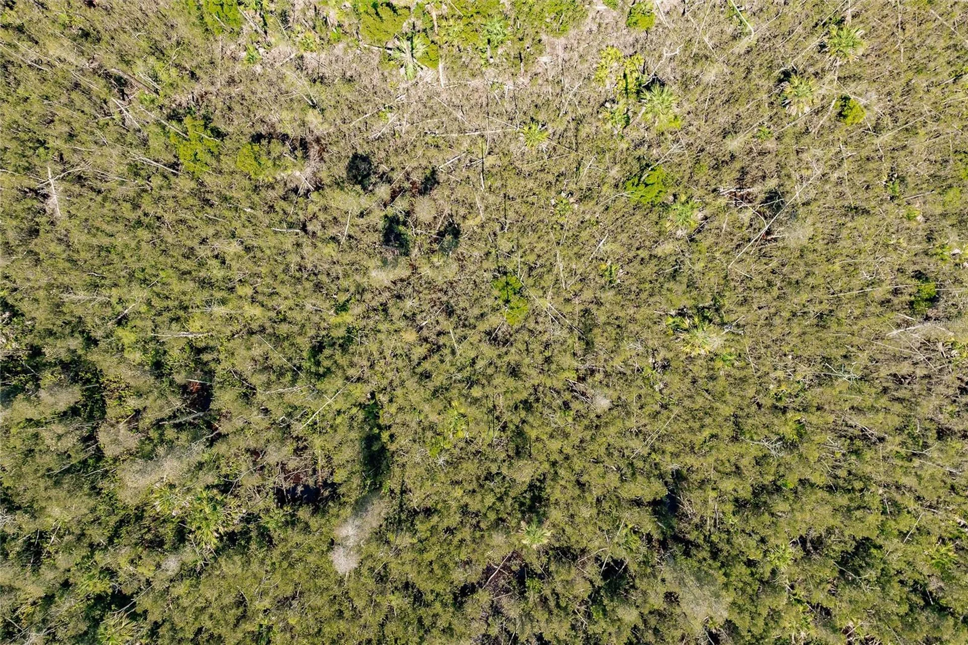 Unassigned Naples FL 34114