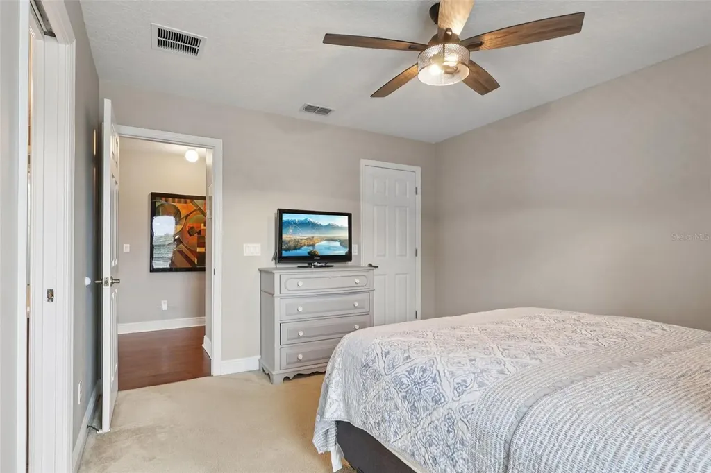30113 Jutland Court Mount Dora FL 32757