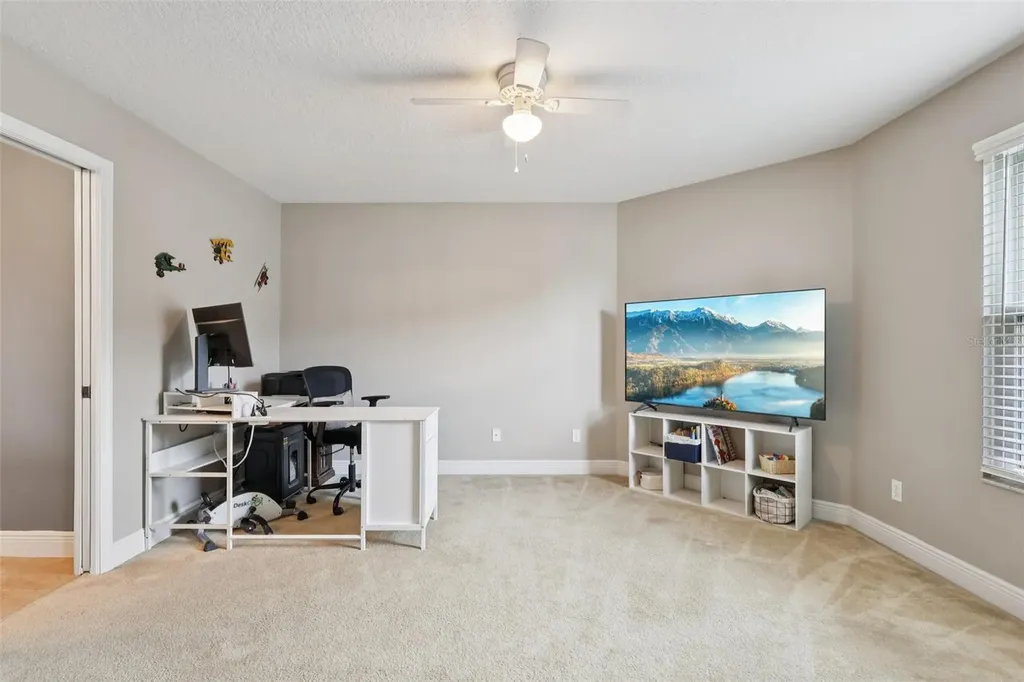 30113 Jutland Court Mount Dora FL 32757