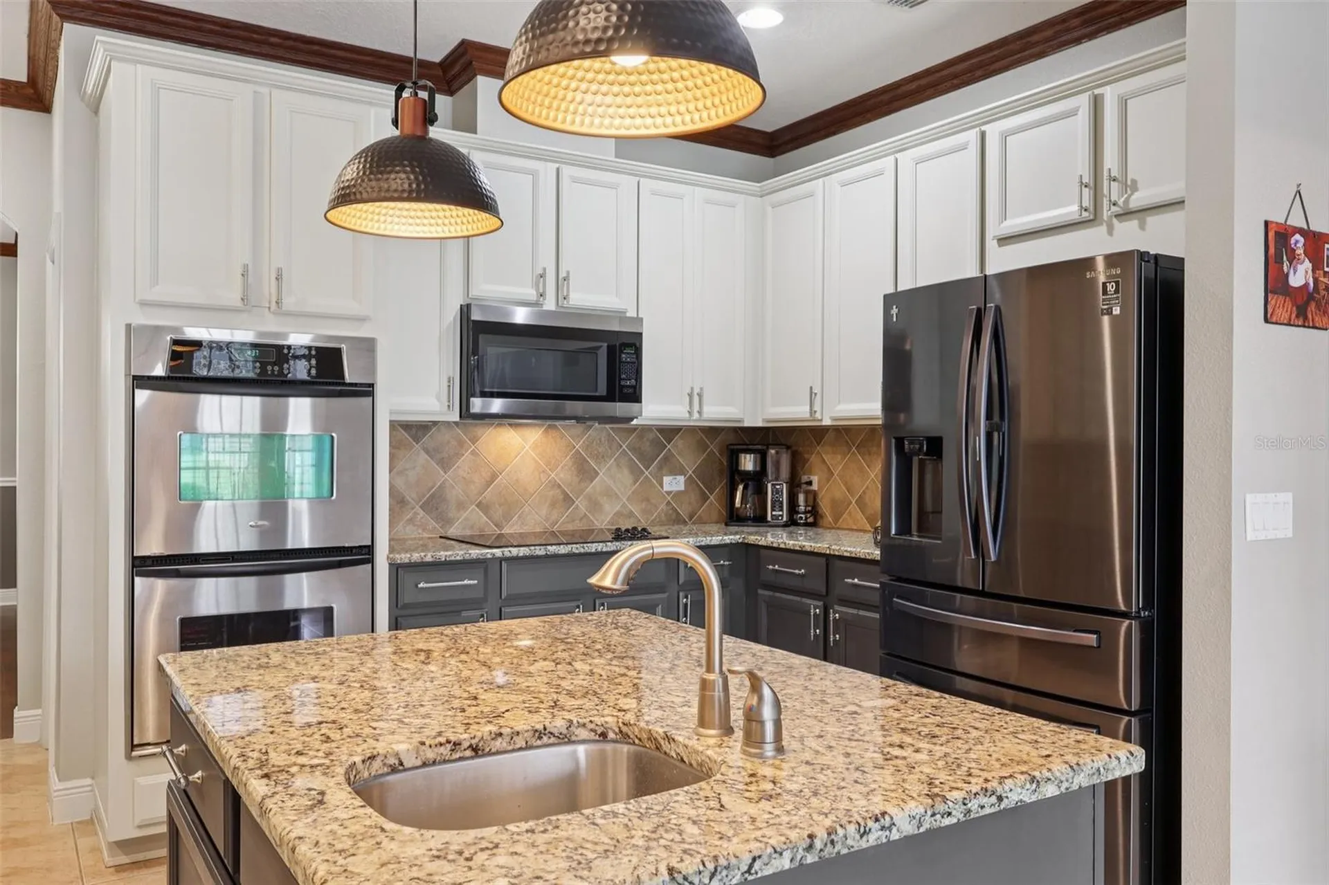 30113 Jutland Court Mount Dora FL 32757