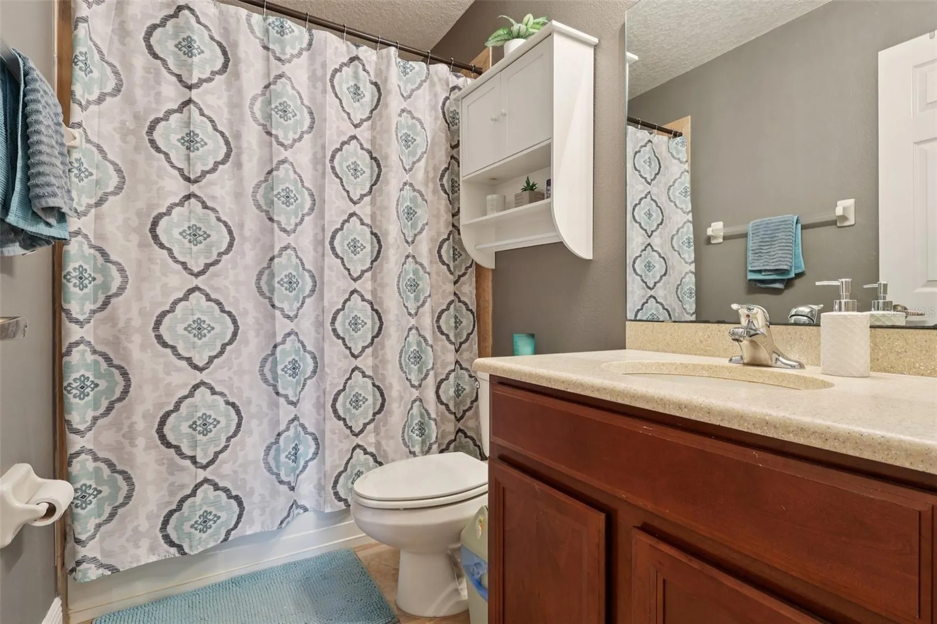 30113 Jutland Court Mount Dora FL 32757