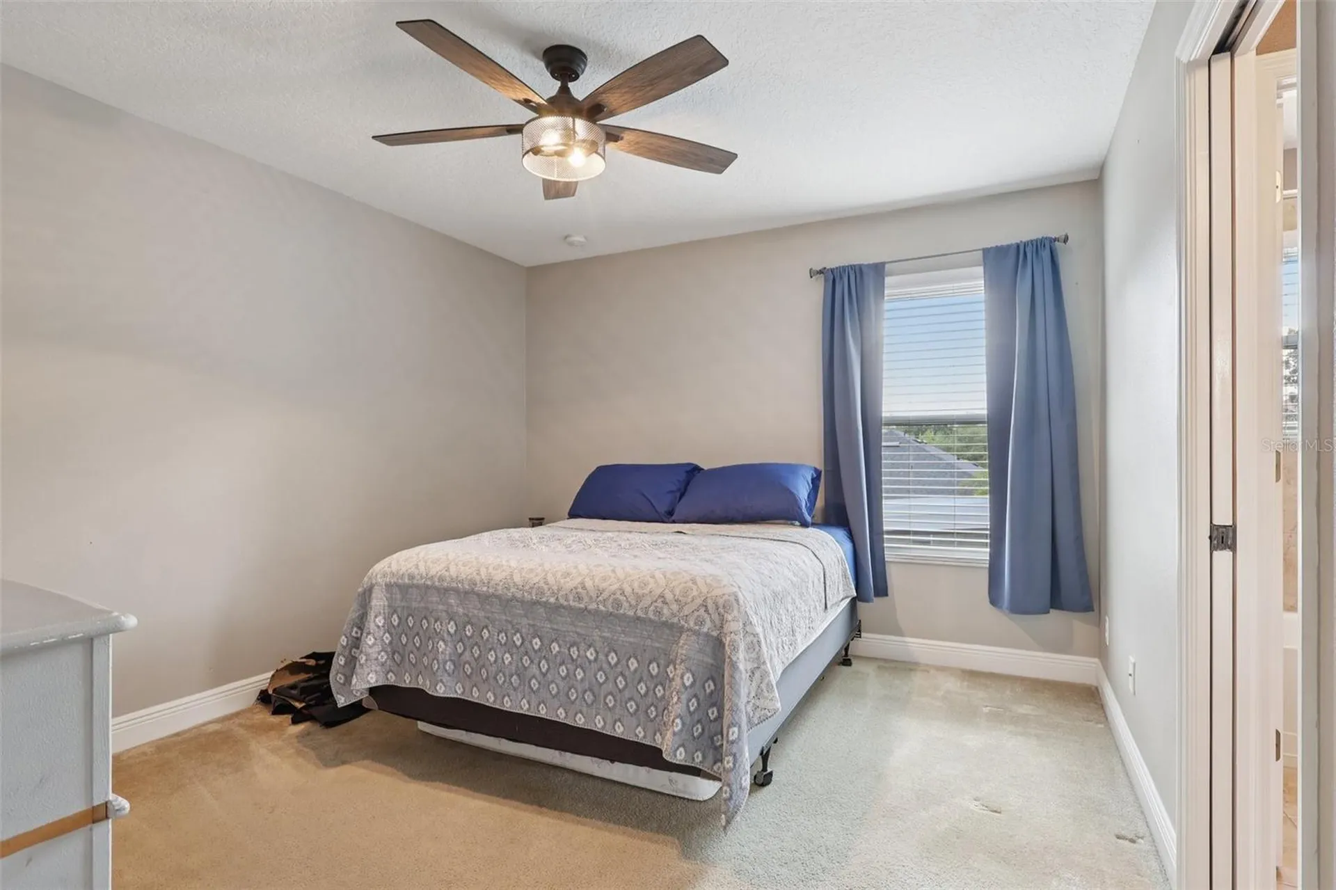 30113 Jutland Court Mount Dora FL 32757
