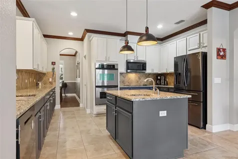 30113 Jutland Court Mount Dora FL 32757