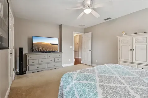30113 Jutland Court Mount Dora FL 32757