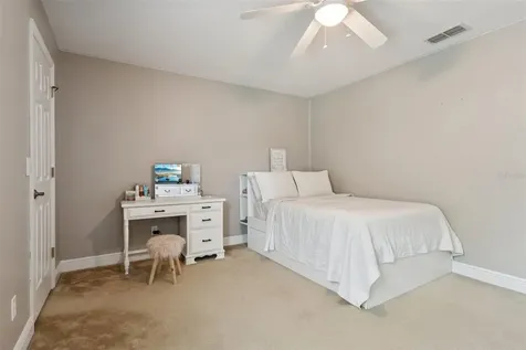 30113 Jutland Court Mount Dora FL 32757