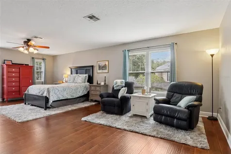 30113 Jutland Court Mount Dora FL 32757