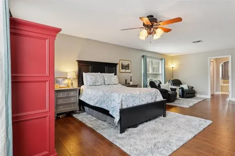 30113 Jutland Court Mount Dora FL 32757