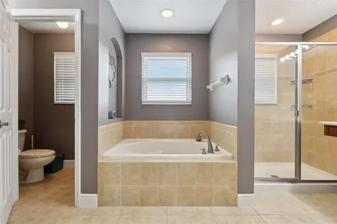 30113 Jutland Court Mount Dora FL 32757