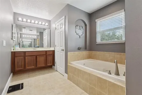 30113 Jutland Court Mount Dora FL 32757