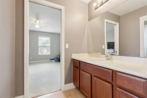 30113 Jutland Court Mount Dora FL 32757