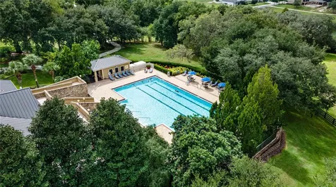 30113 Jutland Court Mount Dora FL 32757