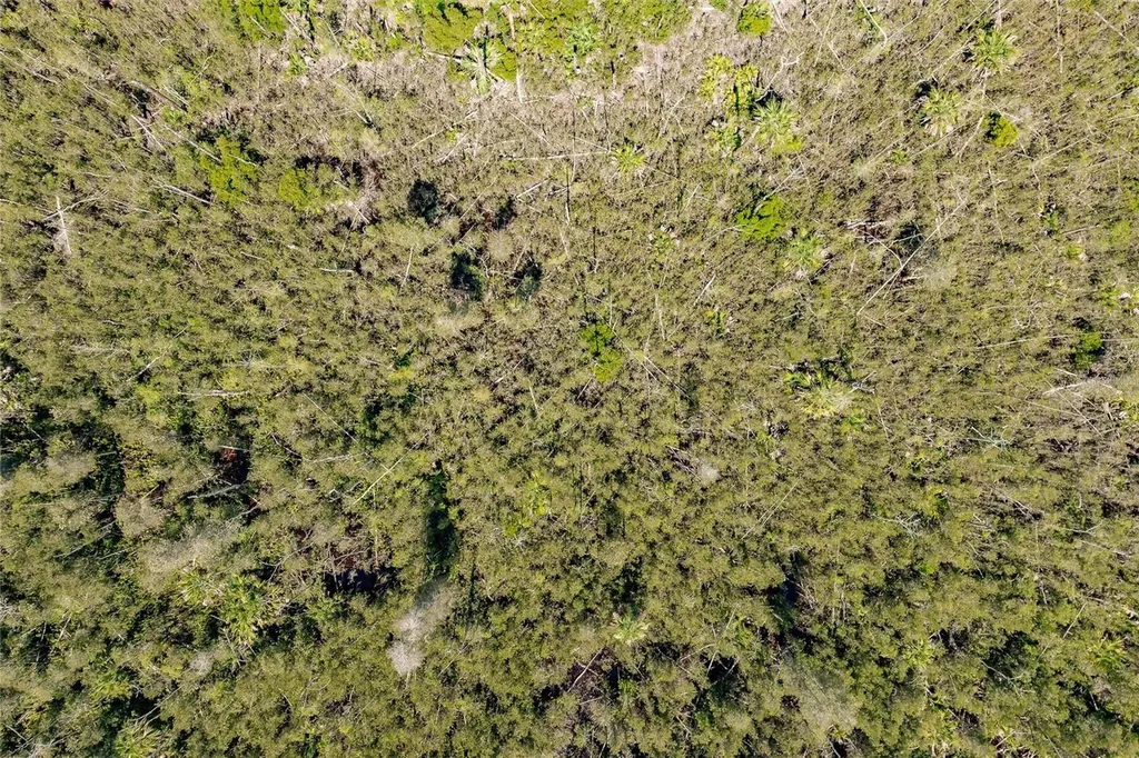 Unassigned Naples FL 34114
