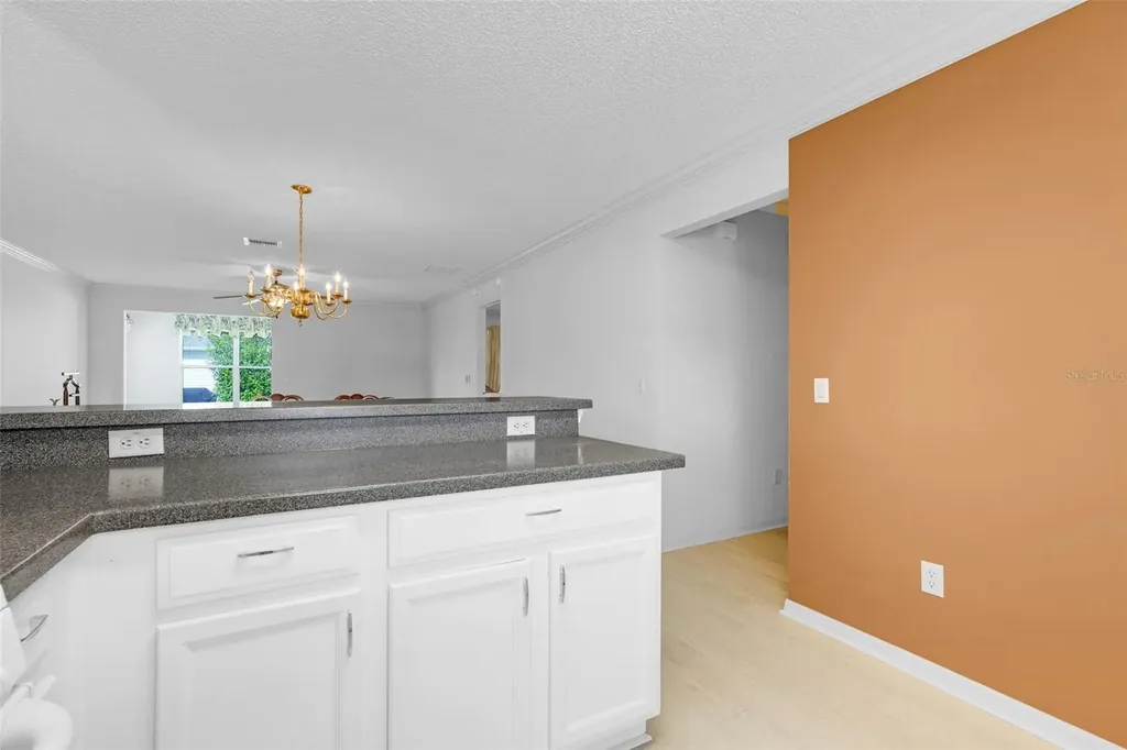870 Henderson Lane The Villages FL 32162