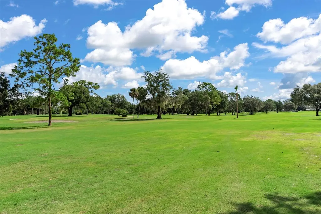 8505 E Sandpiper Drive Inverness FL 34450