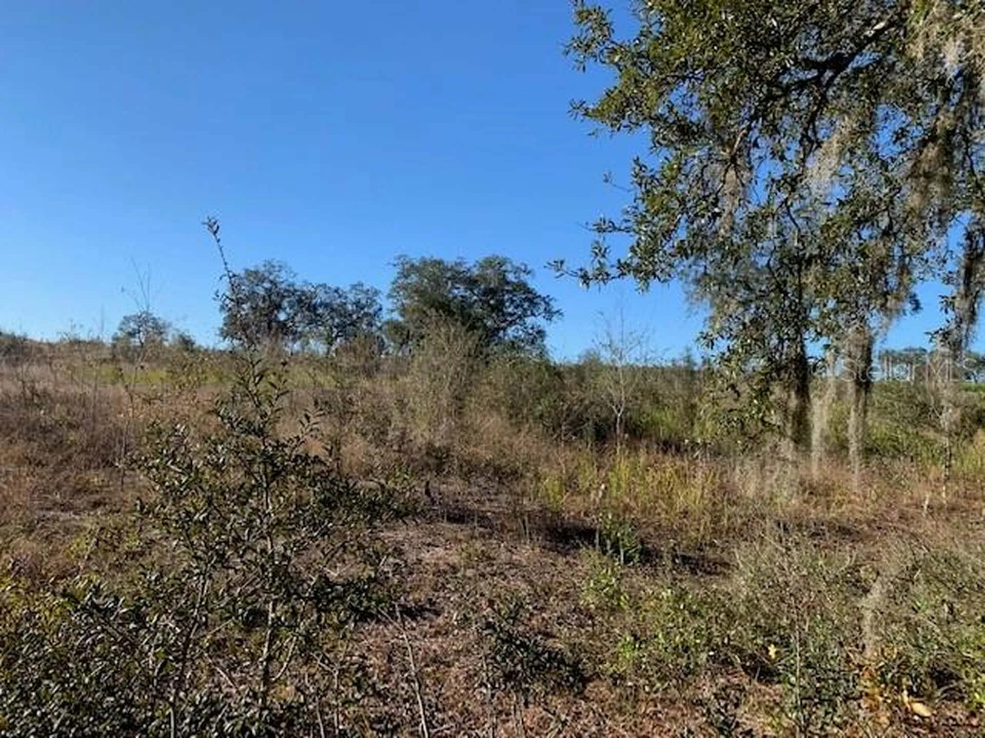 3288 Masterpiece Road Lake Wales FL 33898