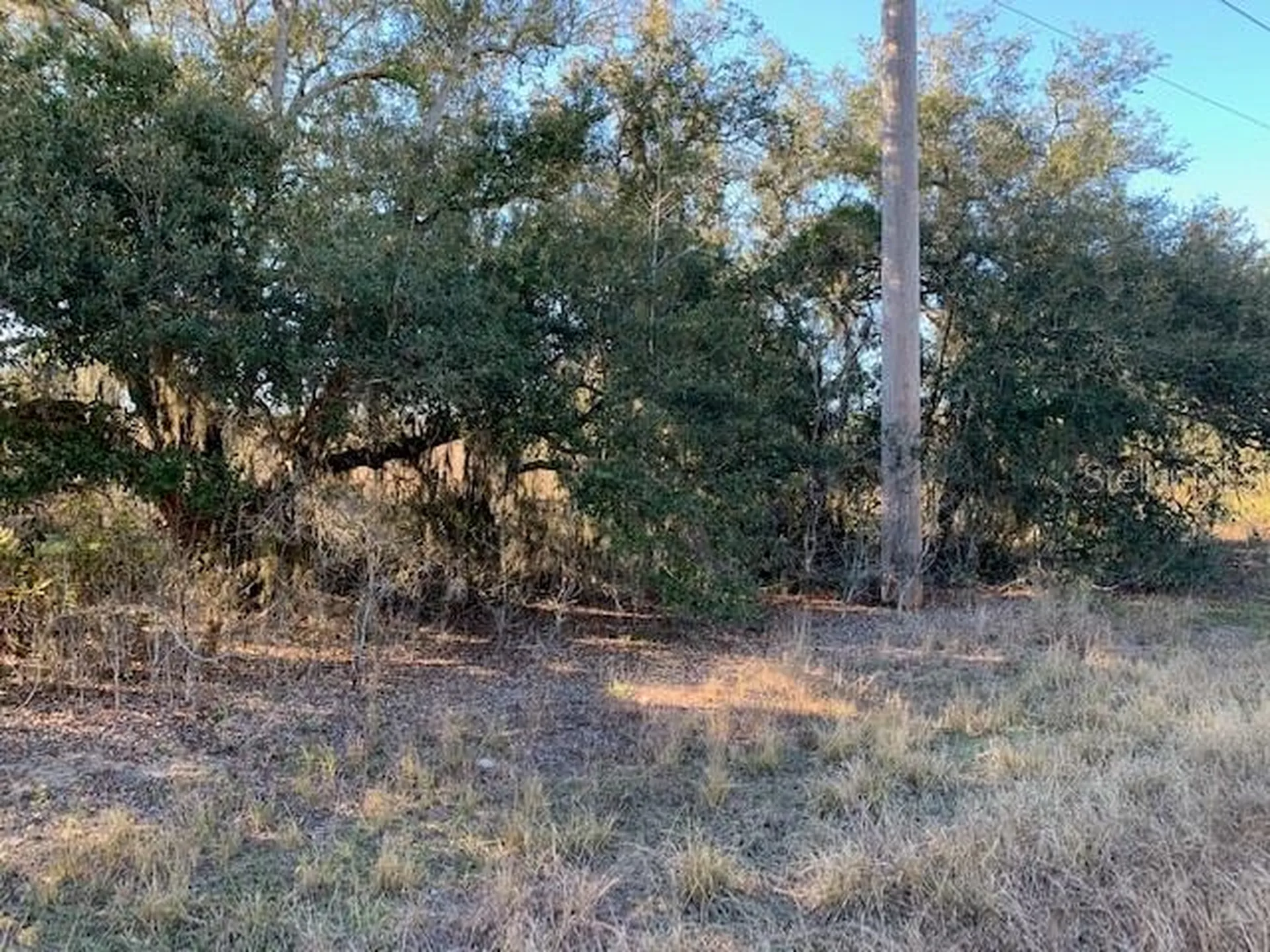 3288 Masterpiece Road Lake Wales FL 33898