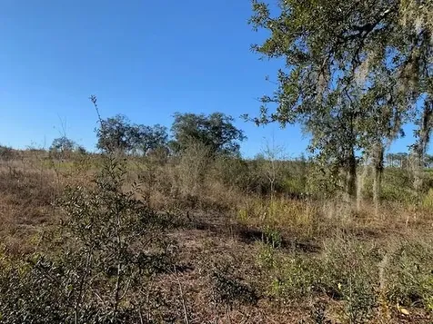 3288 Masterpiece Road Lake Wales FL 33898