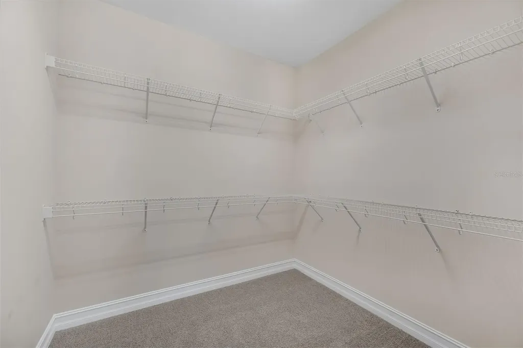 28883 Revaro Lane Wesley Chapel FL 33543
