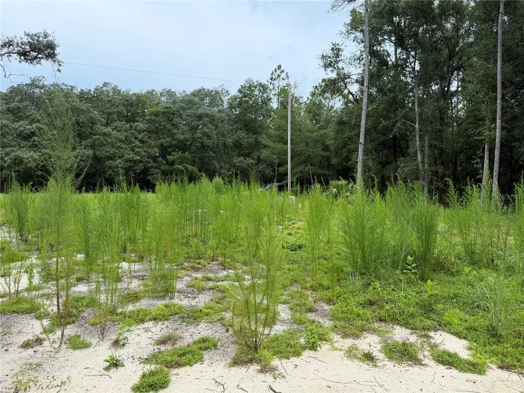 106 Jackson Avenue Interlachen FL 32148