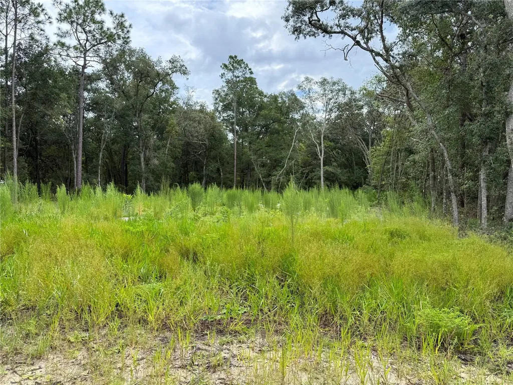106 Jackson Avenue Interlachen FL 32148