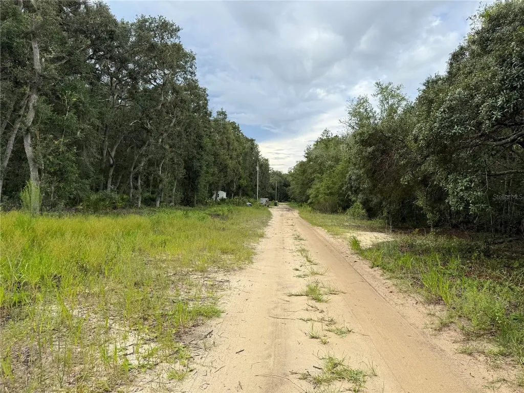 106 Jackson Avenue Interlachen FL 32148