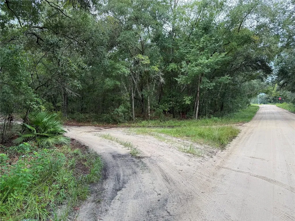 106 Jackson Avenue Interlachen FL 32148